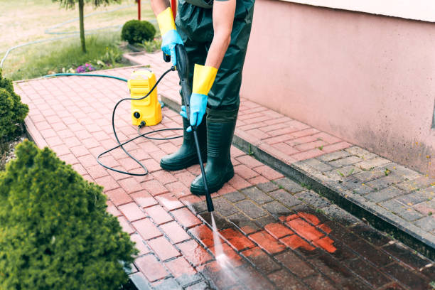 Professional Pressure Washing in Washington Park, IL