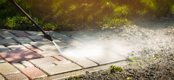 Animal Enclosure Cleaning in Washington Park, IL